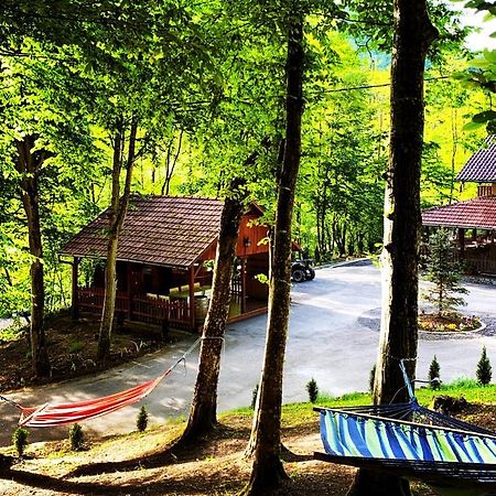 Pensiunea Valea Gepisului Grosi  Exterior foto
