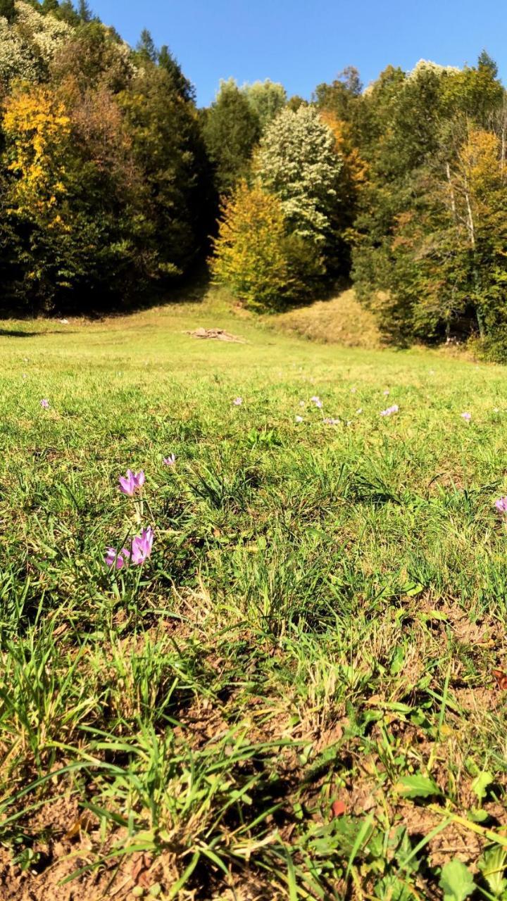 Pensiunea Valea Gepisului Grosi  Exterior foto