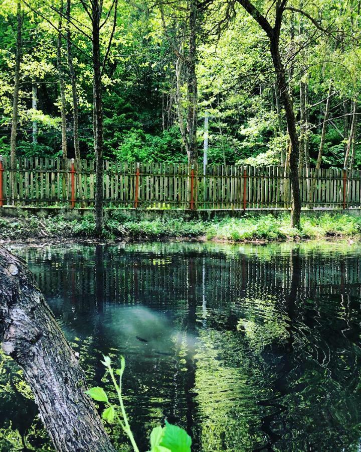 Pensiunea Valea Gepisului Grosi  Exterior foto