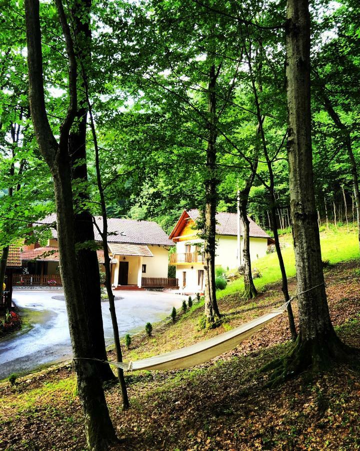 Pensiunea Valea Gepisului Grosi  Exterior foto